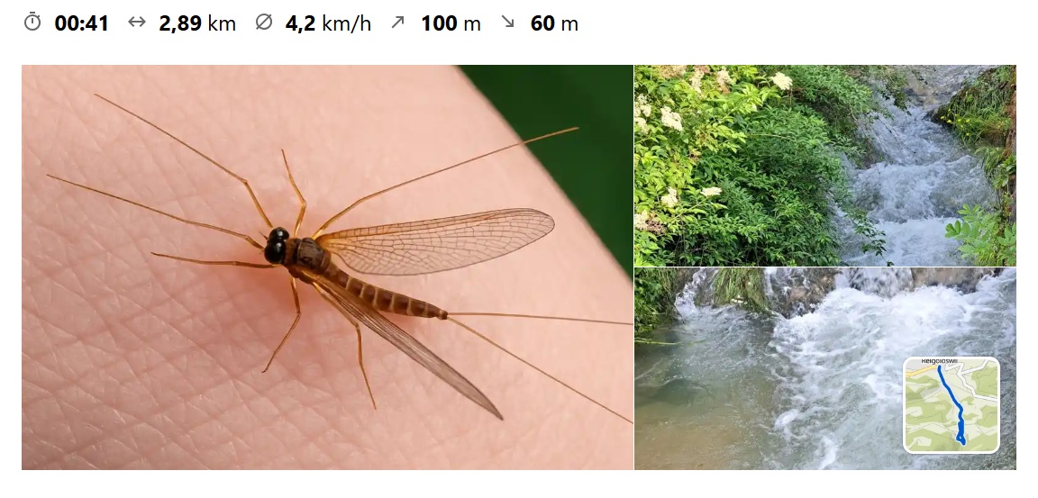 Zu Besuch bei der Wasserfee